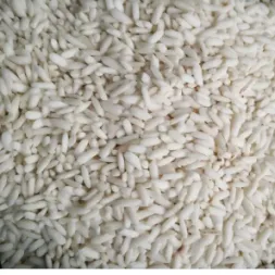 Glutinous Rice