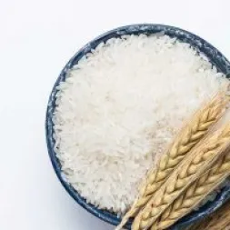 Rice