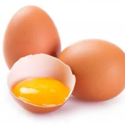 Egg